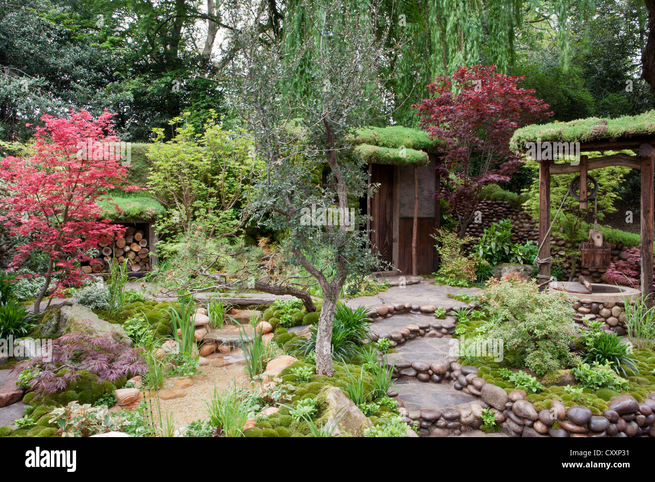 Ein kleiner japanischer Zen-Garten mit moosbedeckten Steinen Stein und Wasser verfügen über einen kleinen Teich - Acer palmatum Bäume Steingarten Pfad Pfade UK Stockfoto