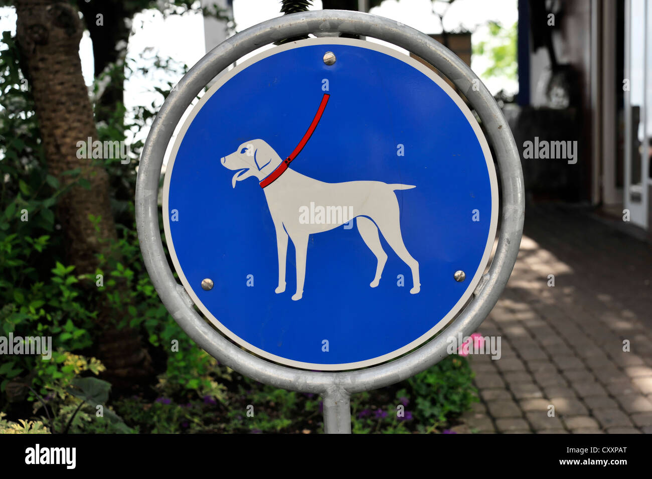 Hunde Piktogramm Stockfotos und -bilder Kaufen - Alamy