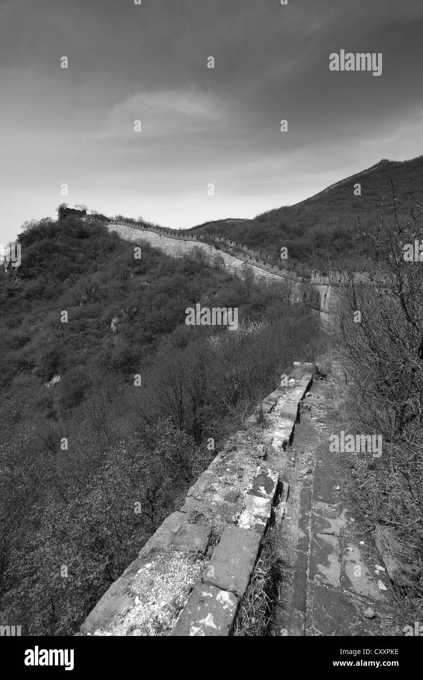 Schwarz / weiß Bild, Mutianyu Abschnitt der Great Wall of China, Mutianyu Tal, Provence, Peking, Asien. Stockfoto