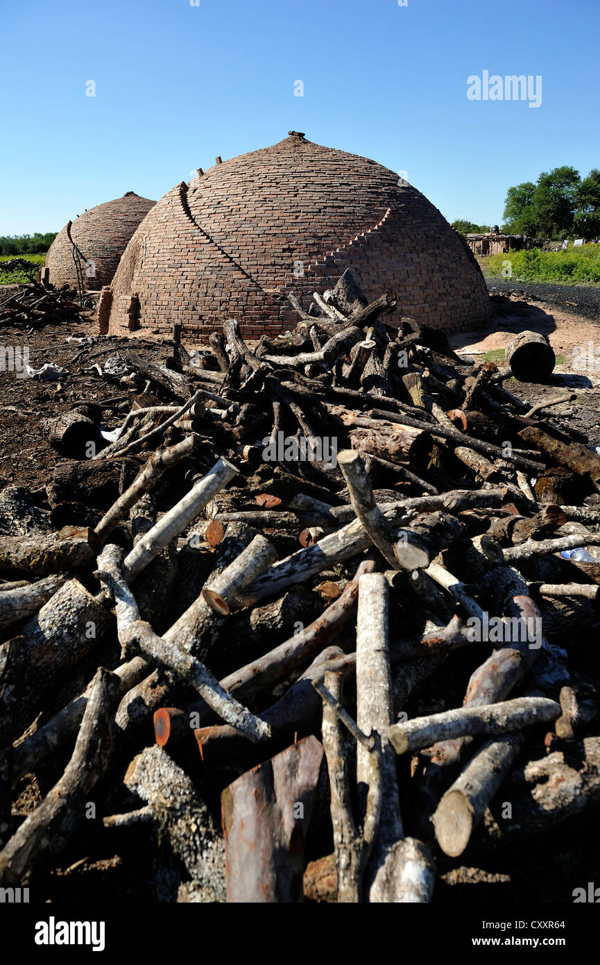 Ofen und Brennholz, Protokollierung, Kohle-Produktion, Chaco, Santiago del Estero Provinz, Argentinien, Südamerika Stockfoto