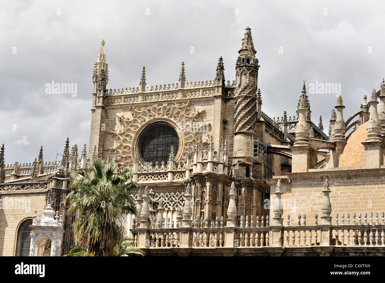 Kathedrale von Sevilla, Cathedral of Saint Mary auf das Meer, La Giralda Turm, Sevilla, Andalusien, Spanien, Europa Stockfoto