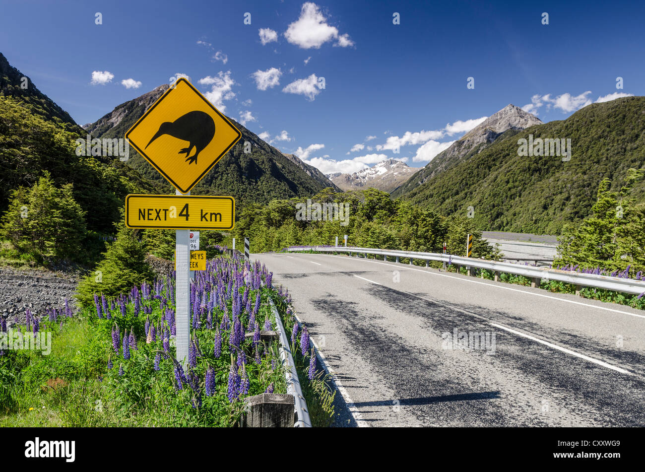 Verkehrszeichen Achtung der Kiwis auf die nächsten vier Kilometer von der Landstraße, fahren auf der linken Seite, Arthurs Pass Road Stockfoto