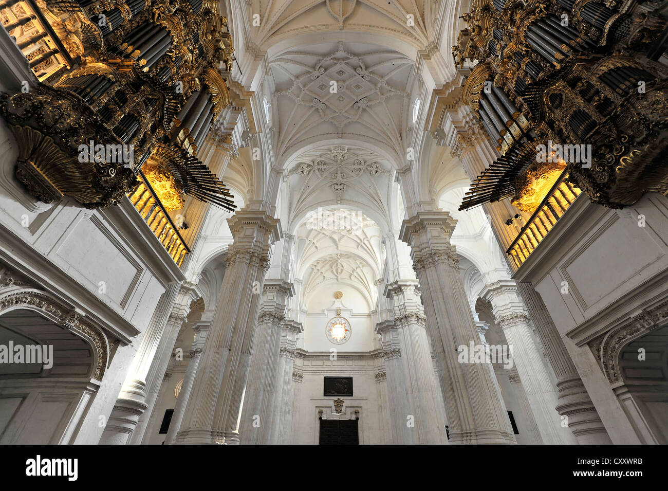 Innenansicht mit Organen, Kathedrale von Santa Maria De La Encarnación, Granada Kathedrale, Granada, Andalusien, Spanien, Europa Stockfoto