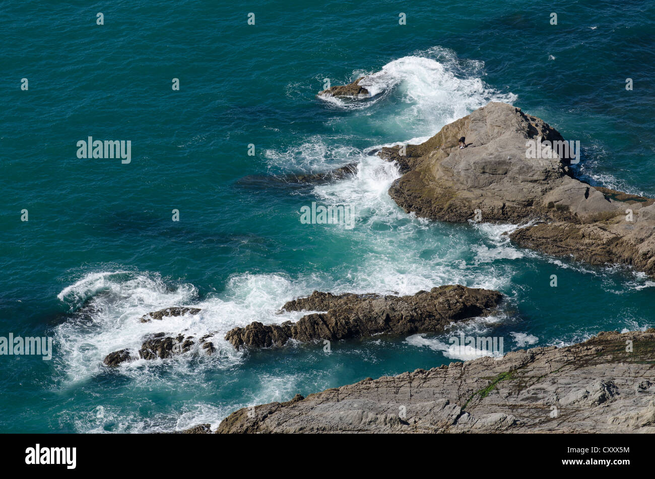 Felsformationen an der Küste, New Plymouth, Nordinsel, Neuseeland Stockfoto