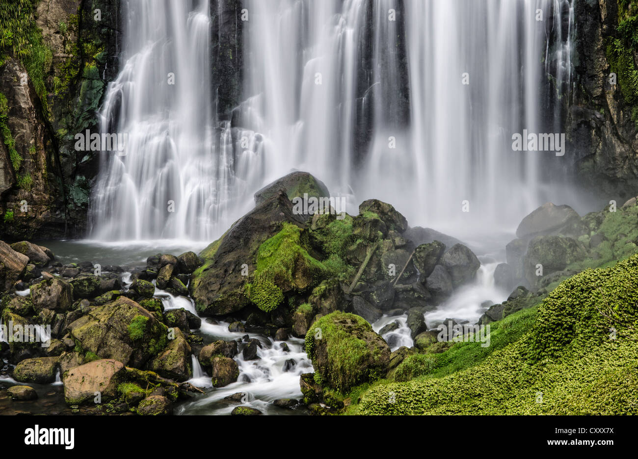 Marokopa Falls, Waitomo, King Country, Nordinsel, Neuseeland Stockfoto