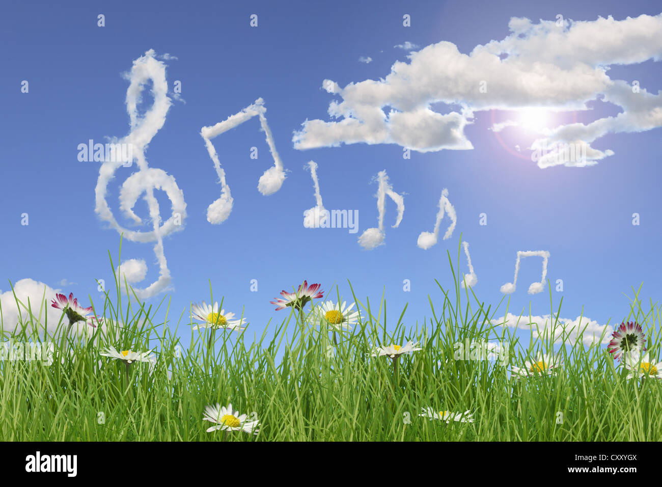 Blumenwiese, Wolken, geformt wie ein Notenschlüssel und Noten, illustration Stockfoto