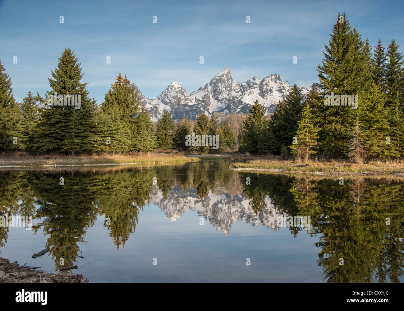 Mountin Reflexionen des Schwabacher Landing, Grand-Teton-Nationalpark, Wyoming, USA, Amerika Stockfoto