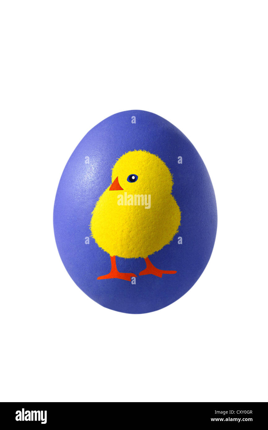 Blaue Osterei mit der Malerei von einem Küken Stockfoto