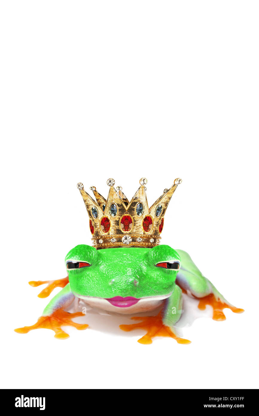 Frosch mit Krone zwinkert und Kräuseln-Up für einen Kuss Stockfoto