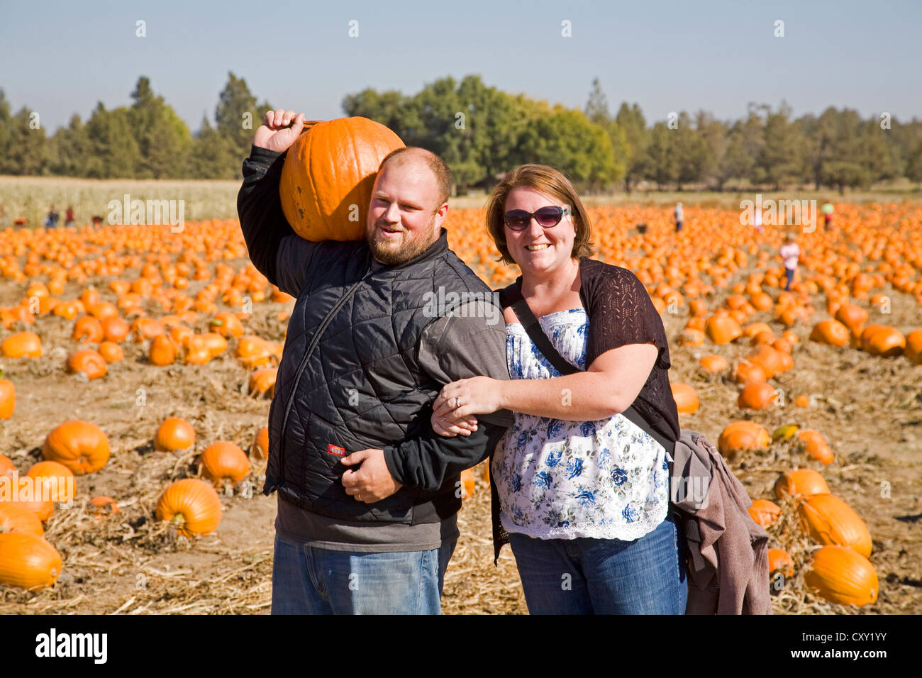 Eine Familie sammelt Kürbisse für Halloween aus einem Kürbisfeld in Zentral-Oregon. Stockfoto