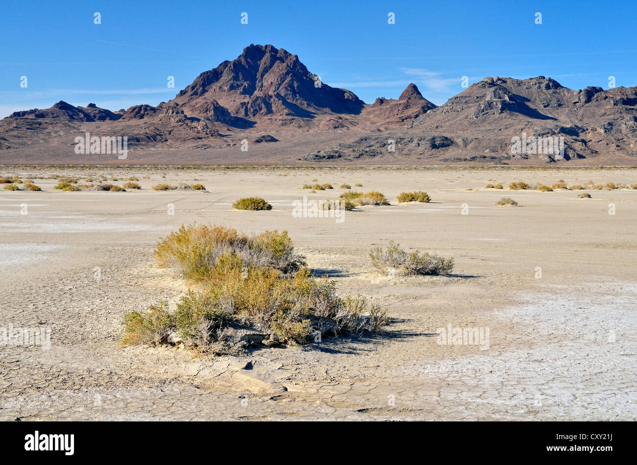 Salinen bei den Bonneville Speedway, Great Salt Lake Desert, Silber Insel Bergen hinten Wendover, Utah, USA Stockfoto