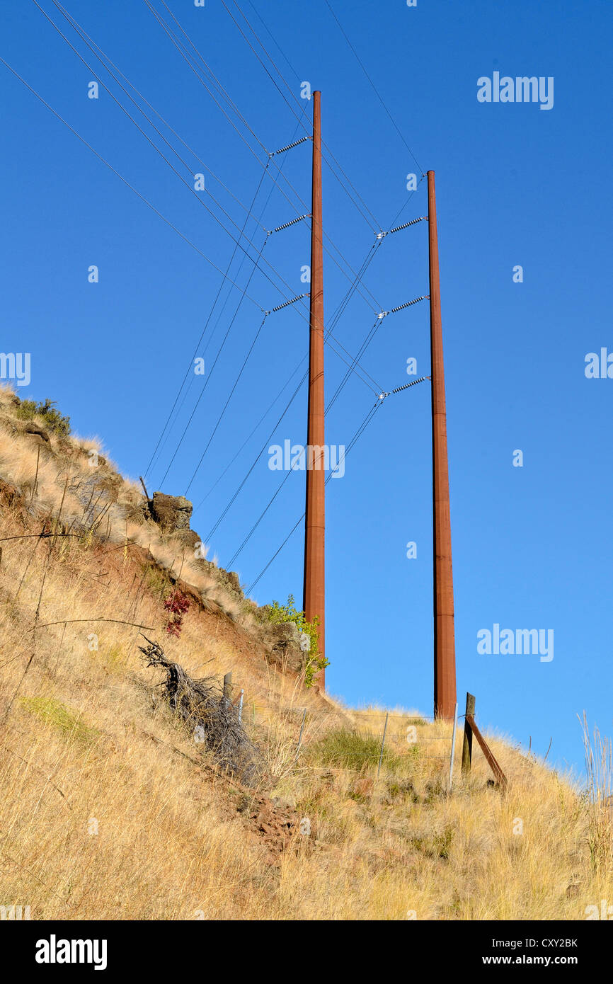 Hochspannungs-Umleitung Pylonen am Oxbow Reserve, Autobahn 71, Oregon, USA Stockfoto