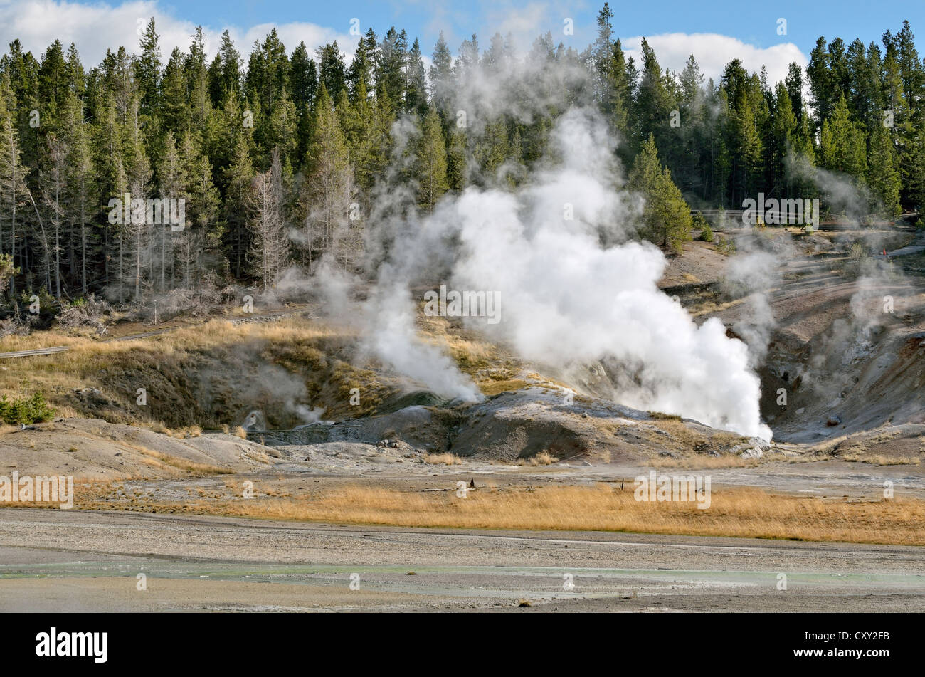 Schwarzer Growler Dampfventil, Porzellan-Becken, Norris Geyser Basin, Yellowstone-Nationalpark, Wyoming, USA Stockfoto