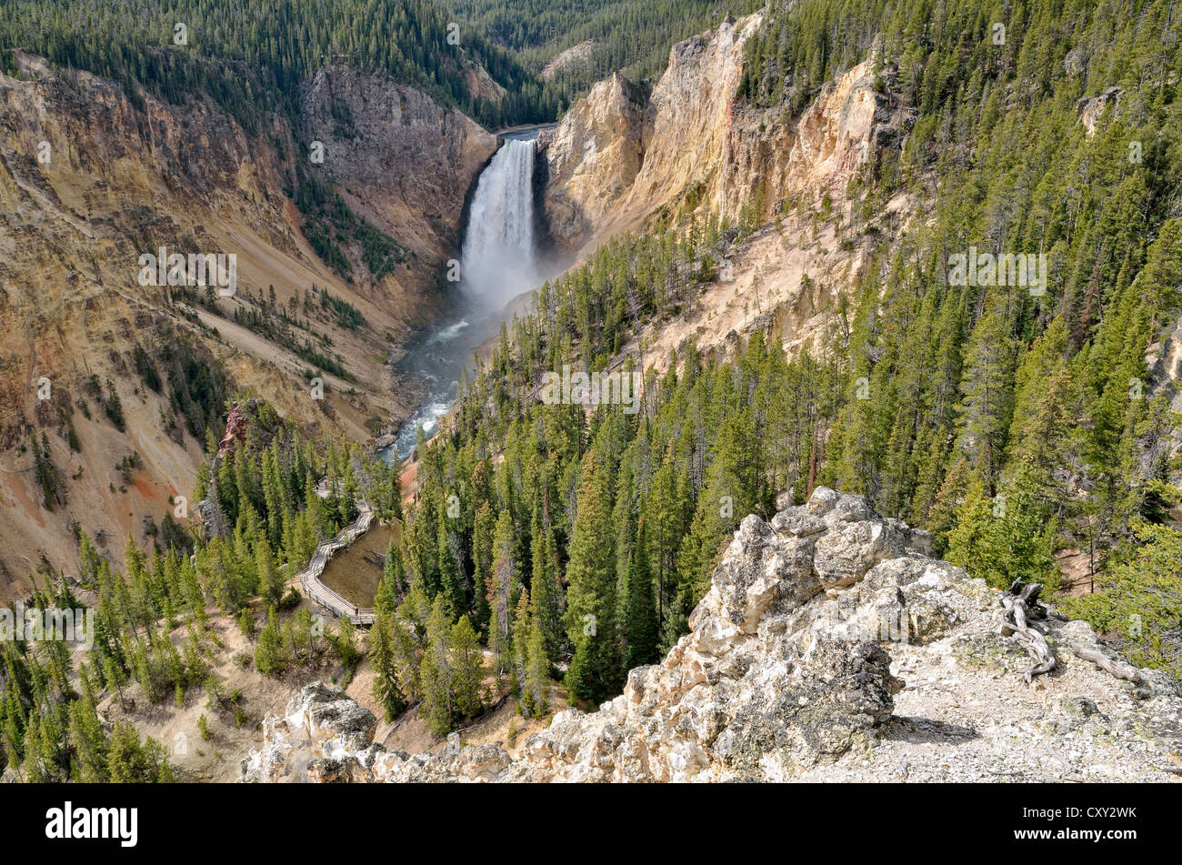 Lower Falls mit dem Red Rock Trail, Grand Canyon des Yellowstone River, Blick vom North Rim, Yellowstone-Nationalpark Stockfoto