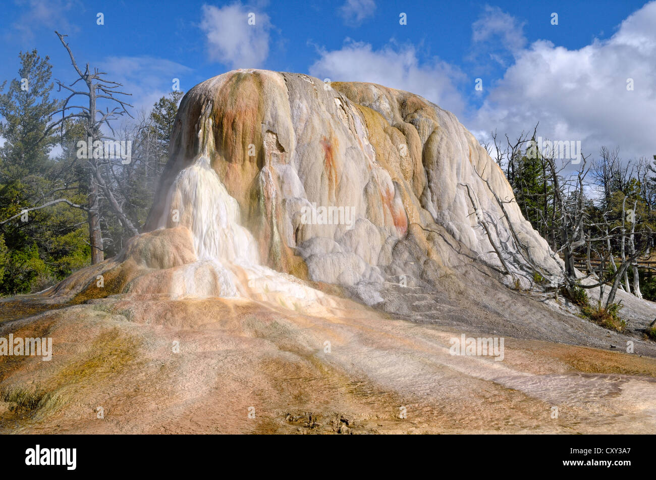 Orange Spring Mound, oberen Terrassen, Mammoth Hot Springs, Yellowstone-Nationalpark, Wyoming, USA Stockfoto