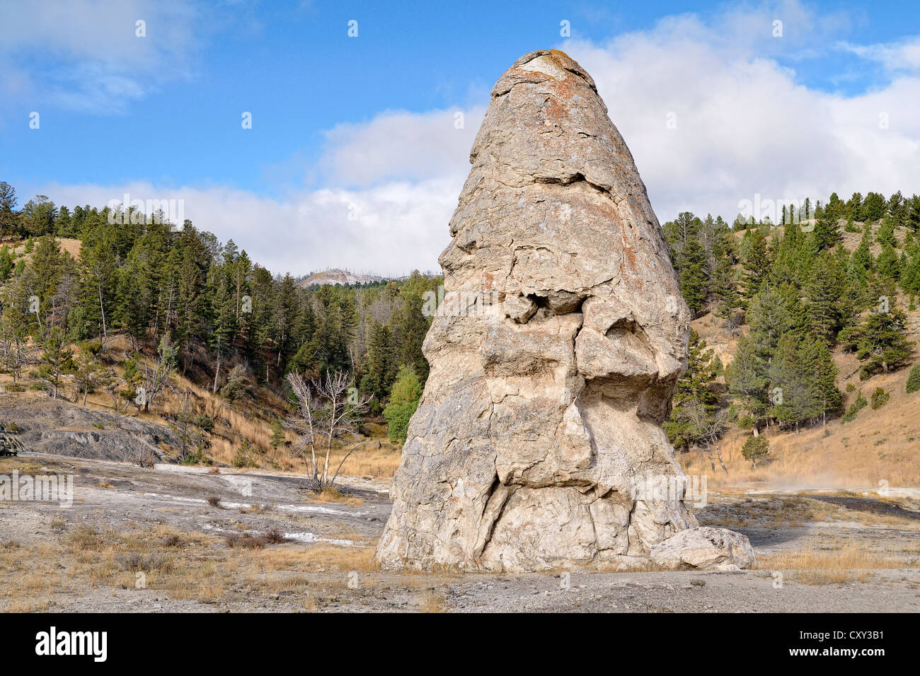 Liberty Cap, einem ausgetrockneten Spring, Mammoth Hot Springs, Yellowstone-Nationalpark, Wyoming, USA Stockfoto