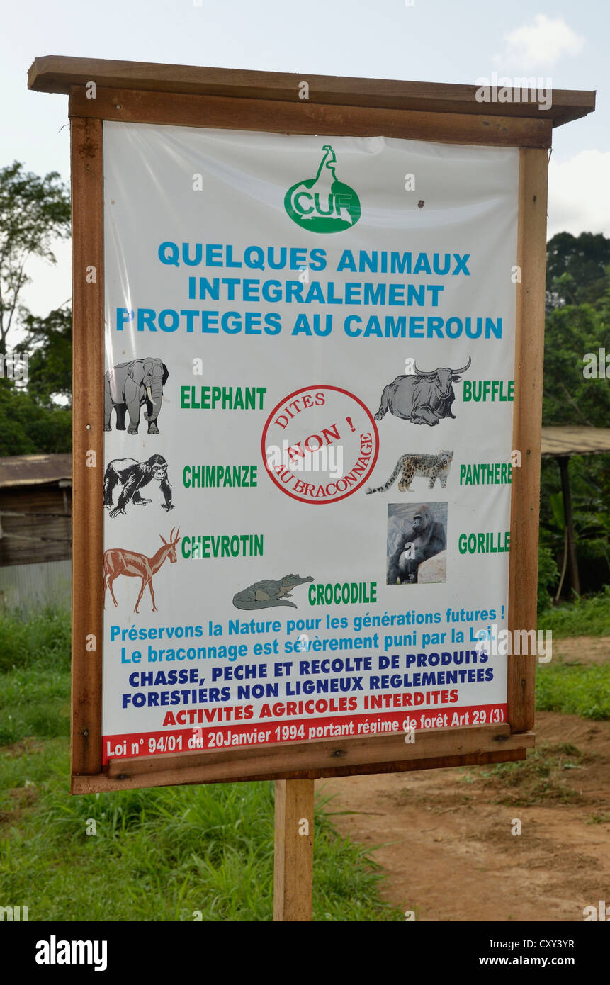 Melden Sie mit Anweisungen für den Tierschutz in der Nähe von Lolodorf, Kamerun, Zentralafrika, Afrika Stockfoto