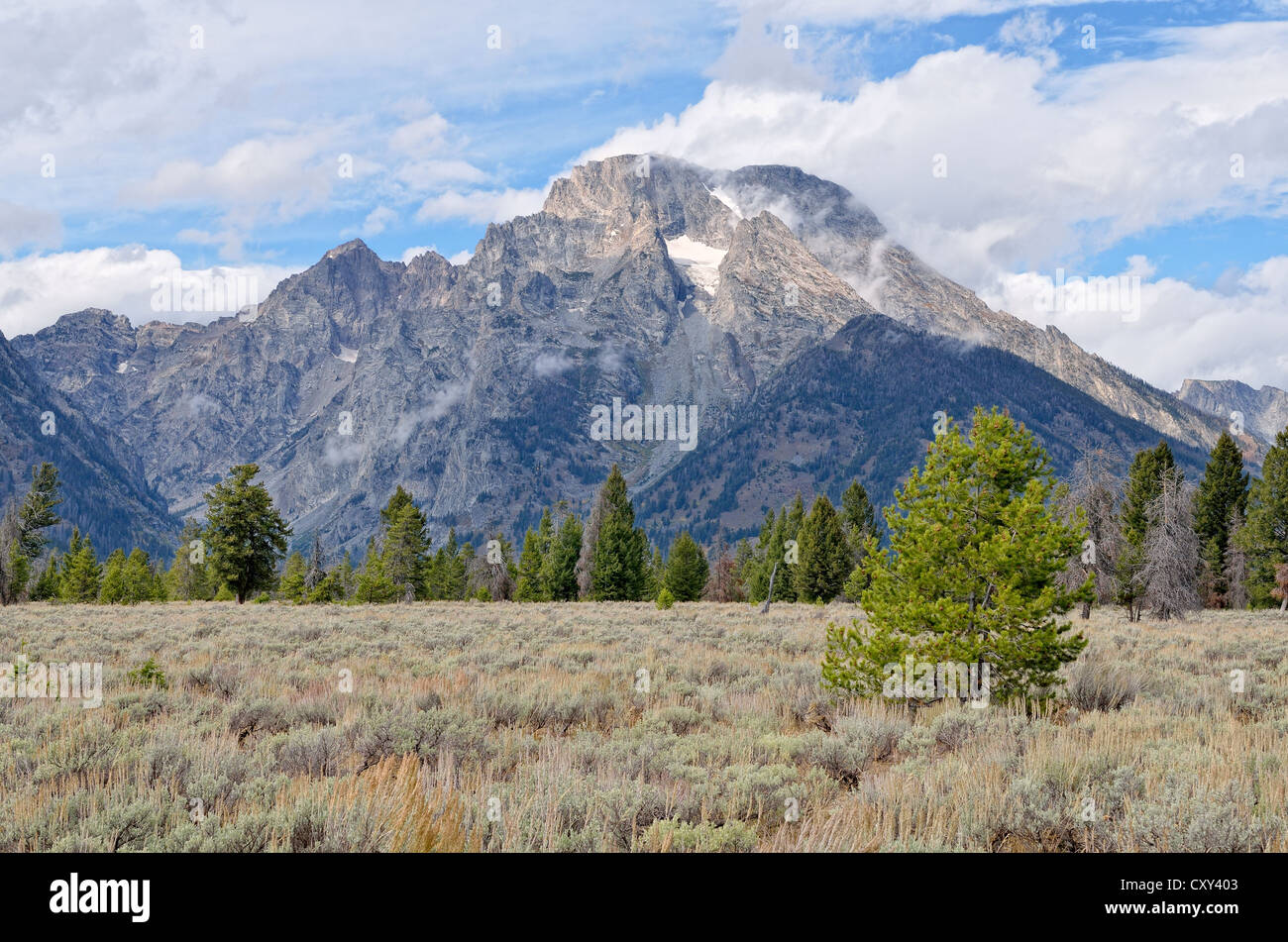 Blick auf Mount Moran aus den Teton Park Road, Grand-Teton-Nationalpark, Wyoming, USA Stockfoto