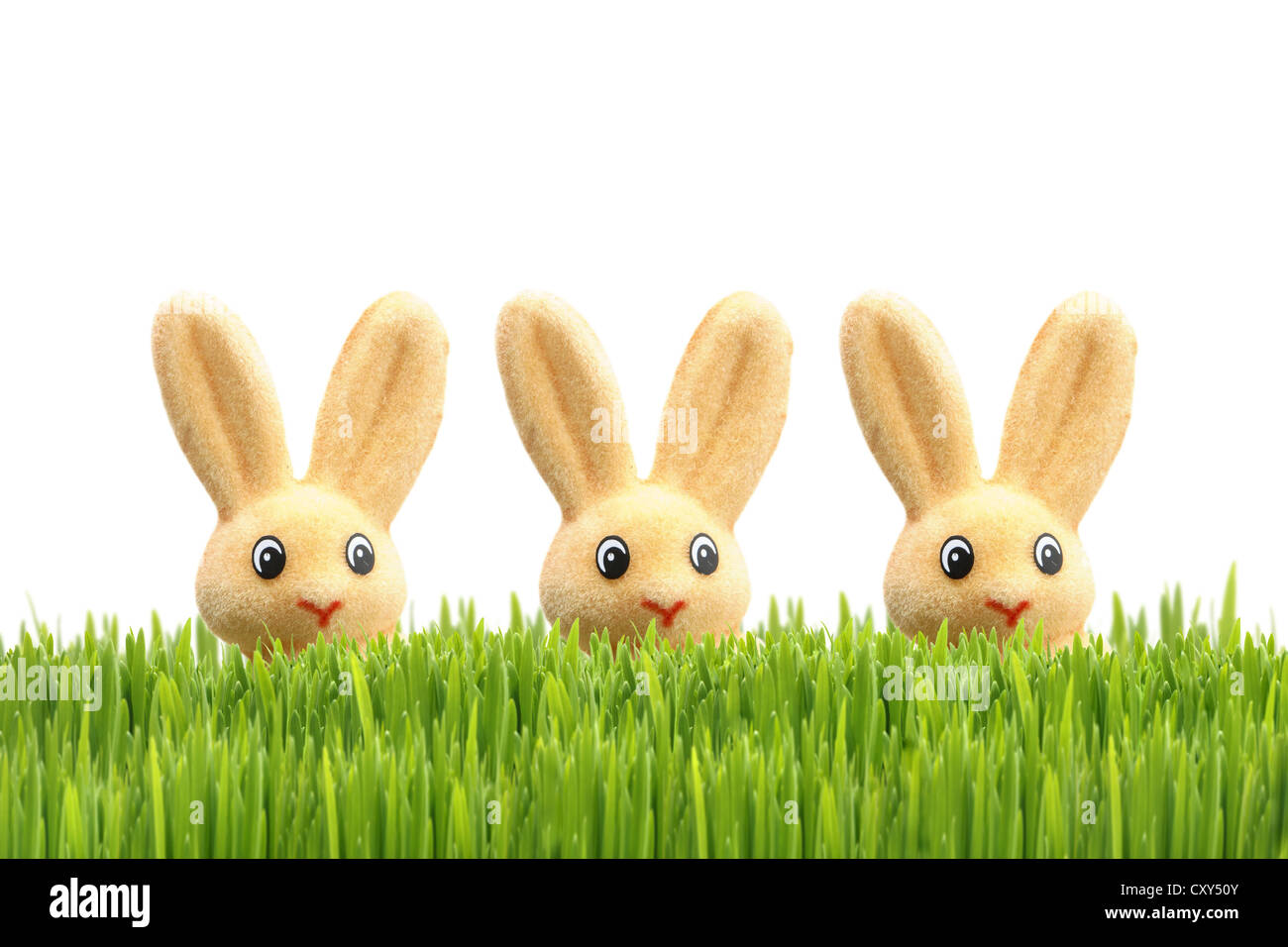 Drei Osterhasen, Osterdekoration, grasgrün Stockfoto