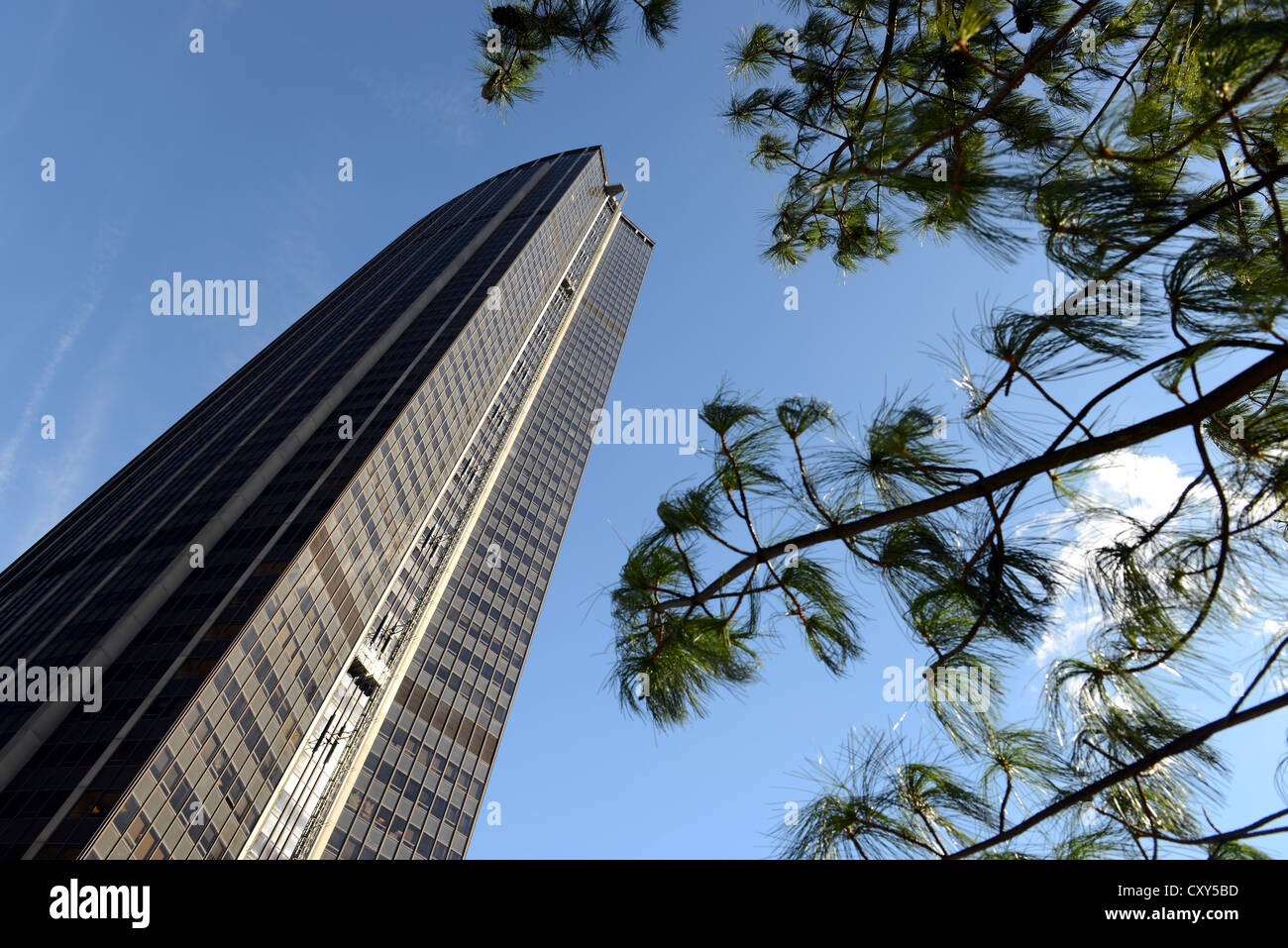 Turm Montparnasse, Paris, Frankreich Stockfoto