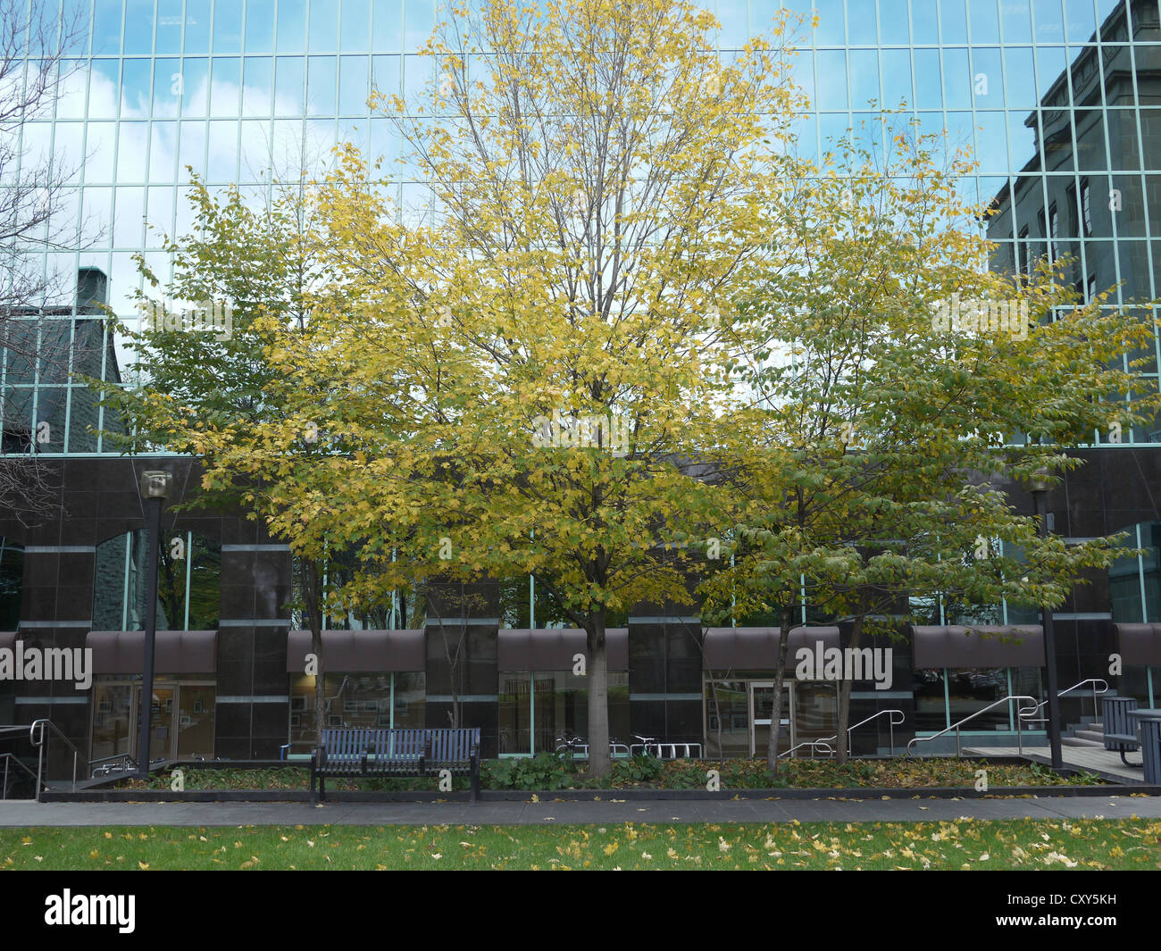 Wellington Straße Ottawa-Bürogebäude Stockfoto
