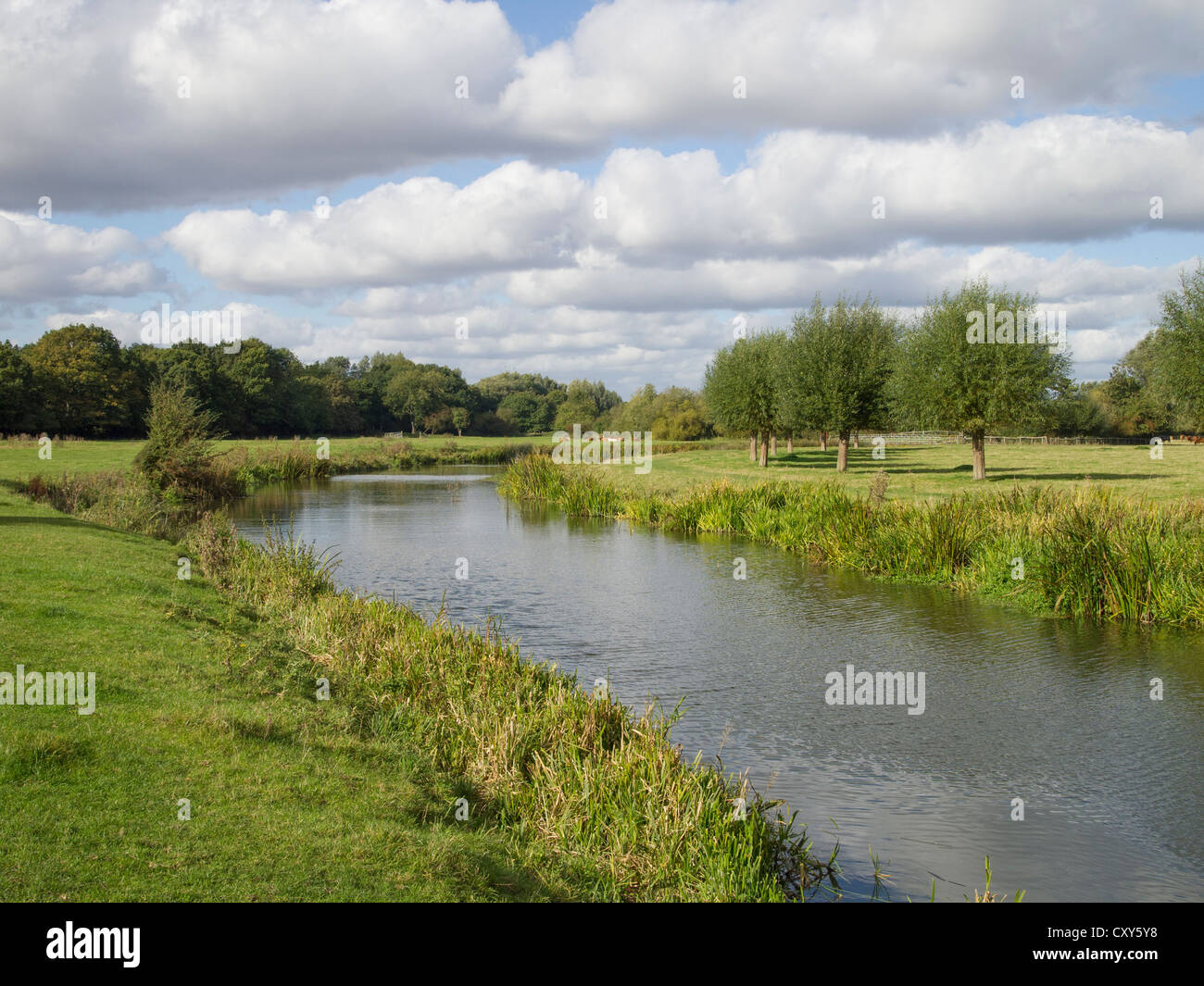 Der Fluss Stour fließt durch die englische Landschaft. Stockfoto
