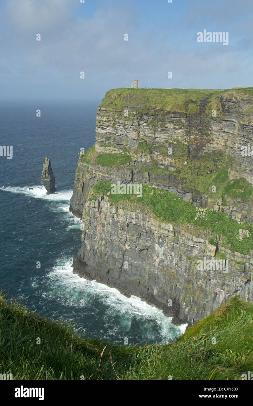 Cliffs of Moher, Co. Clare, Irland Stockfoto