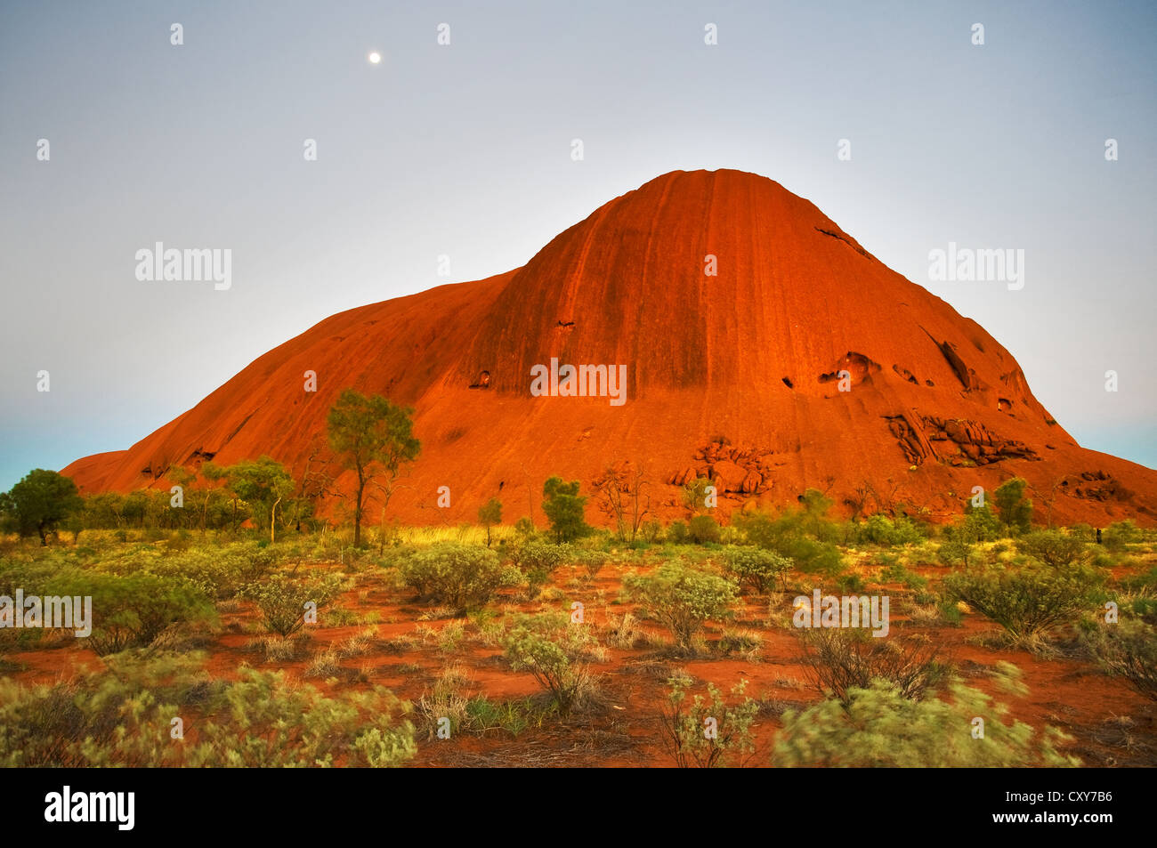 Glühender Uluru bei Vollmond im Morgengrauen. Stockfoto