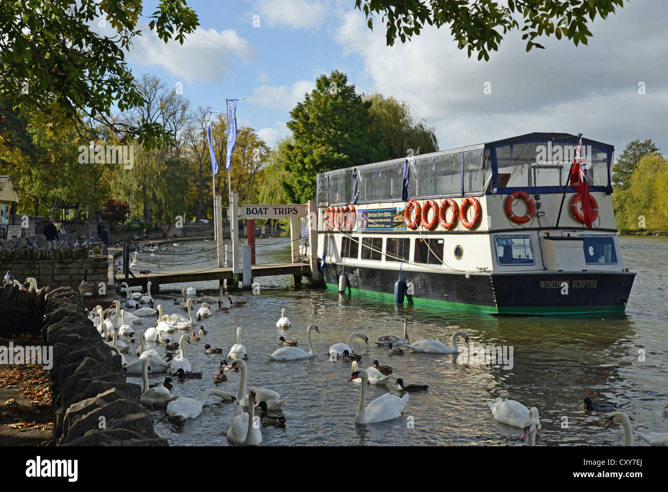 Riverboat festgemacht durch Fluss Avon, Windsor, Berkshire, England, Vereinigtes Königreich Stockfoto