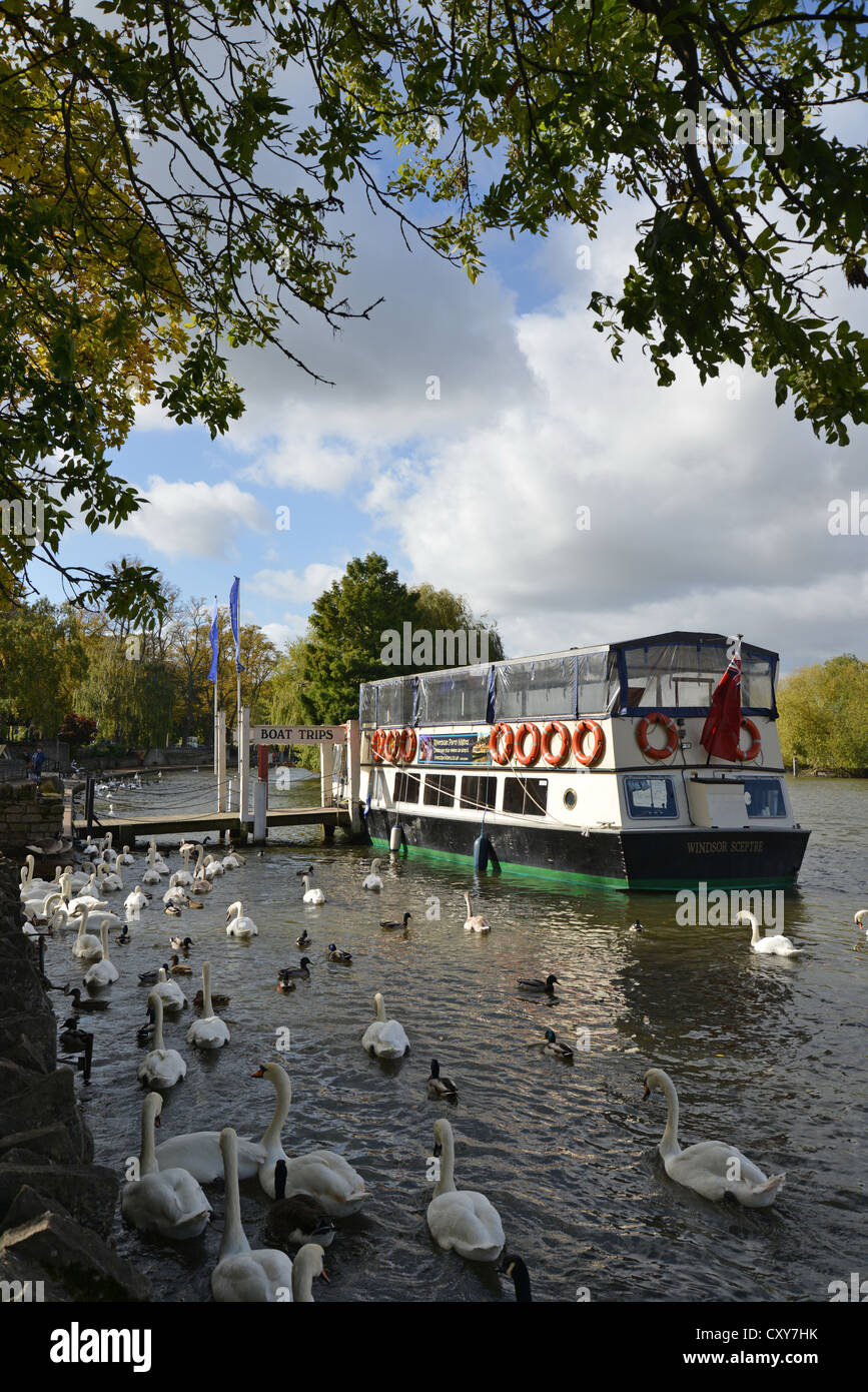 Riverboat festgemacht durch Fluss Avon, Windsor, Berkshire, England, Vereinigtes Königreich Stockfoto