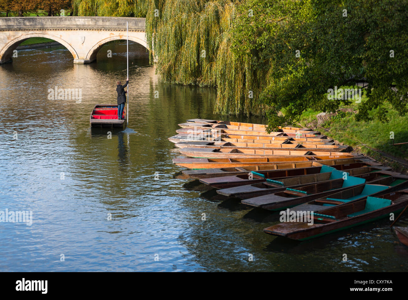Ein einziger Punter am Fluss Cam, Cambridge. Stockfoto