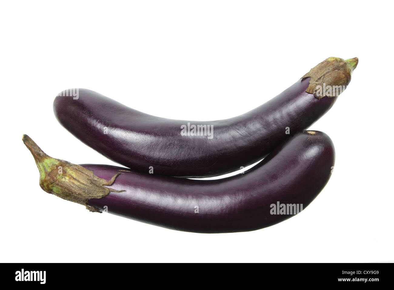 Auberginen Stockfoto
