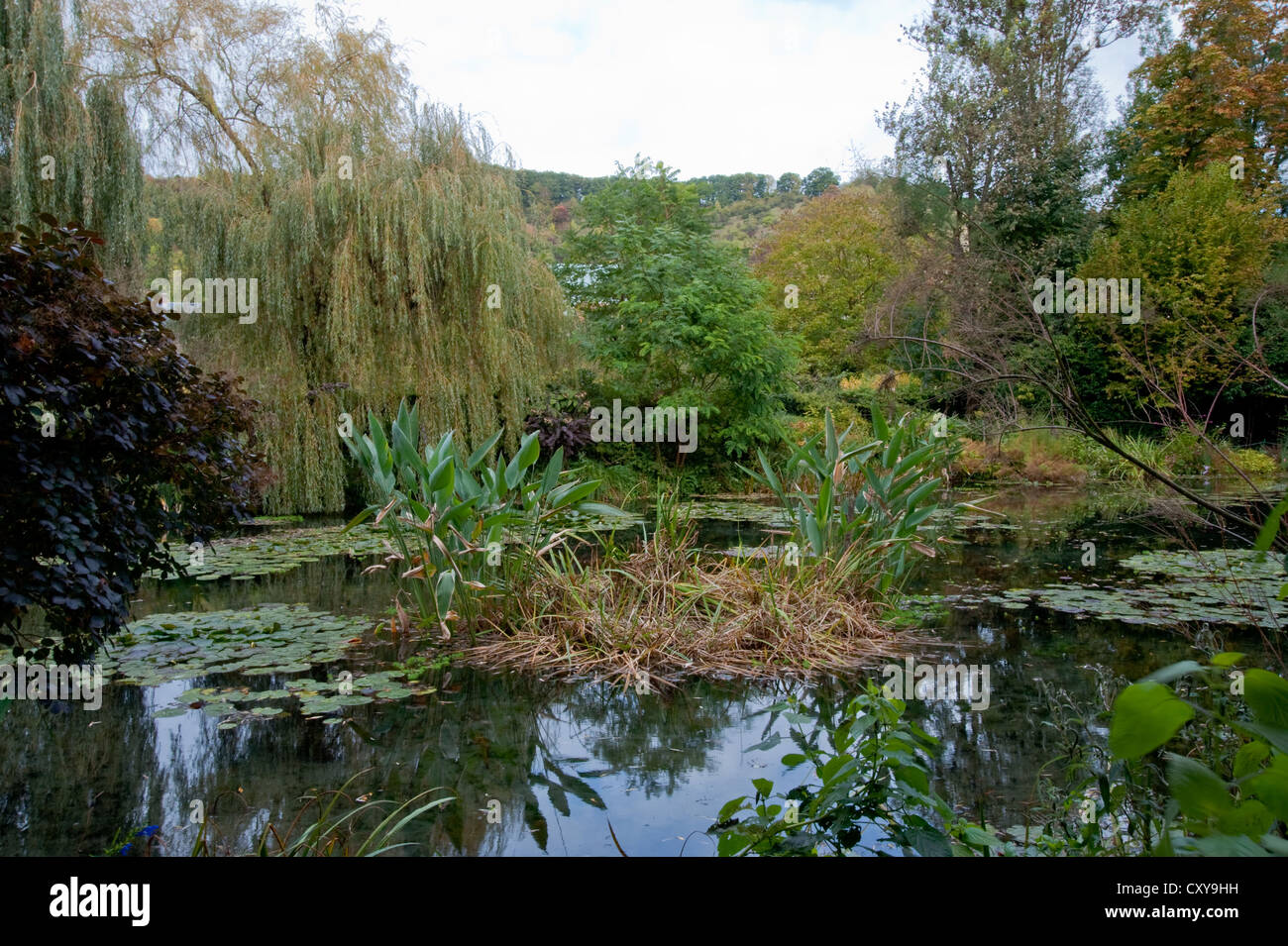 Claude in giverny Fotos und Bildmaterial in hoher Auflösung Alamy