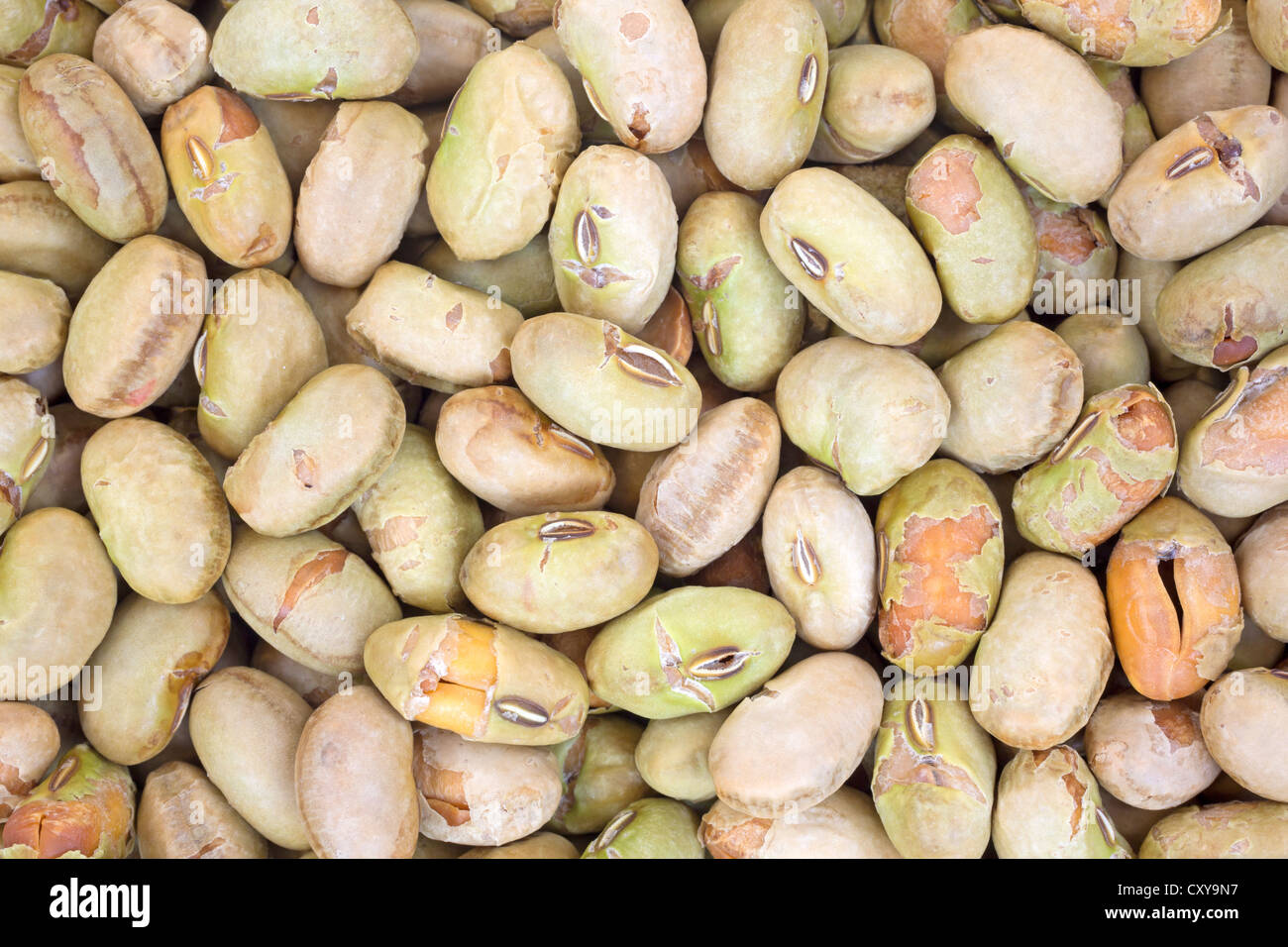 Ganz in der Nähe Blick auf trocken geröstet und gesalzen Edamame Muttern. Stockfoto