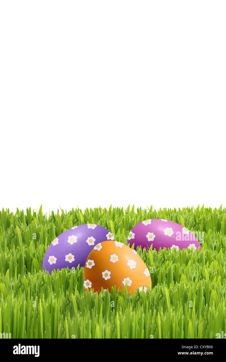 Bunt bemalte Ostereier auf dem grünen Rasen Stockfoto