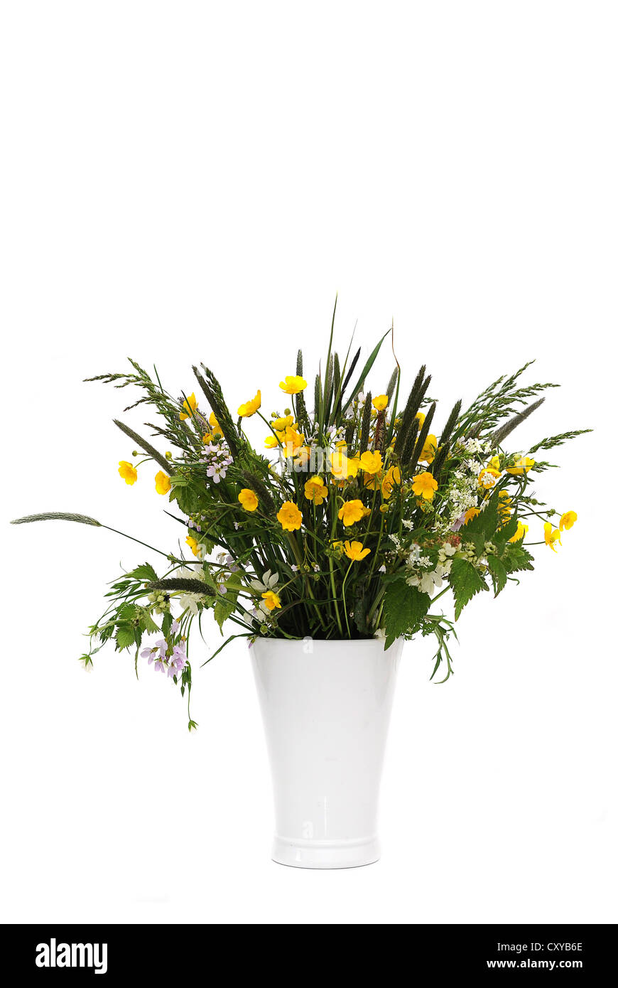Blumenstrauß mit Hahnenfuß (Ranunculus Acris) in einer weißen Vase Feld Stockfoto