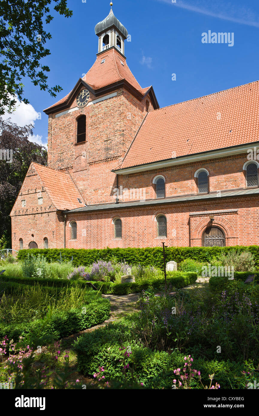 Holstein oldenburg Fotos und Bildmaterial in hoher Auflösung Alamy