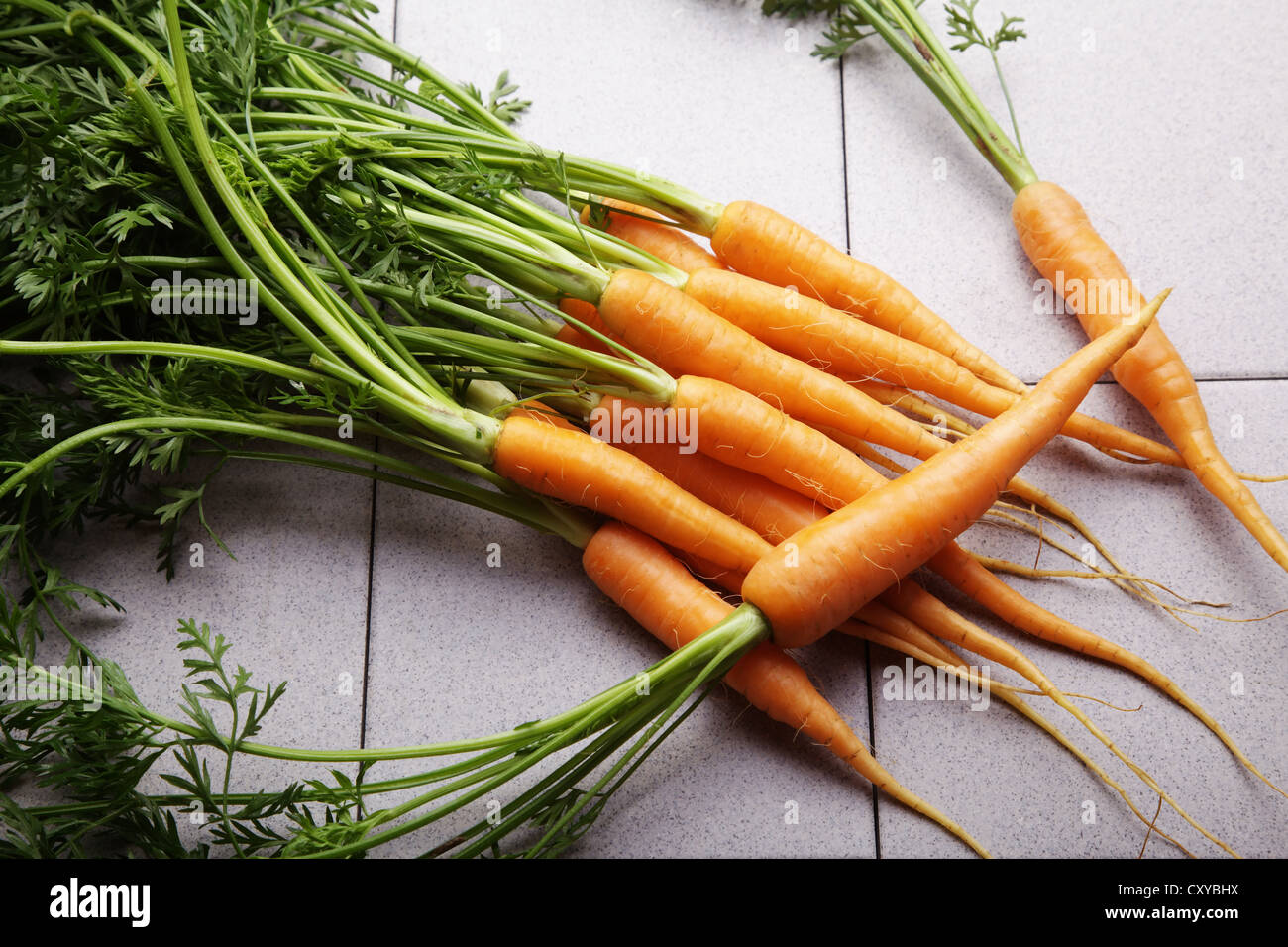 Frische Karotten Stockfoto