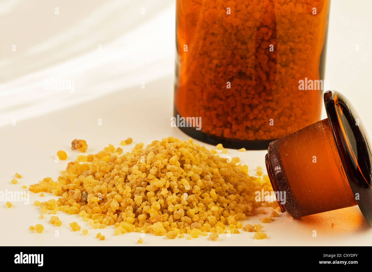 Verbinden, Boswellia-Harz von Indien Stockfoto