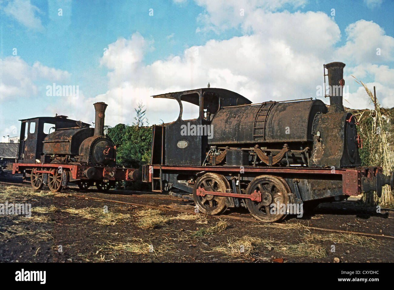 Die beiden Breitspur-Lokomotiven-Falcon und Weißdorn.  November 1981. Stockfoto