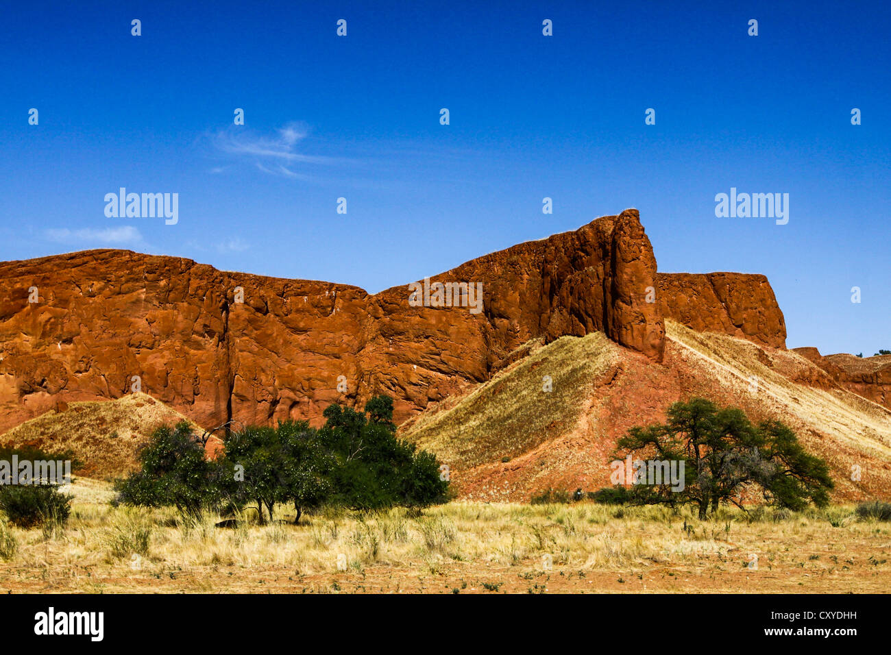 Versteinerten Dünen Namib Desert Lodge, Wüste Namib, Namib Naukluft Park, Namibia, Afrika Stockfoto