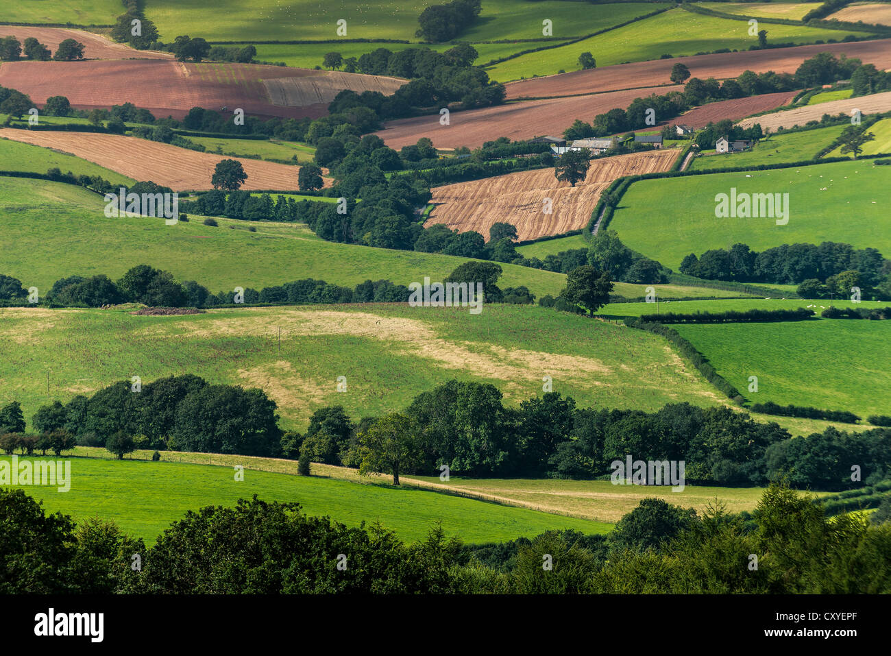 BAUERNHOF UND ACKERLAND MIT ABGEERNTETEN FELDERN IM TAL DER USK, MONMOUTHSHIRE WALES UK Stockfoto