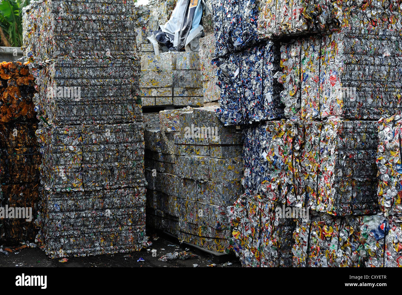 Blechdosen gepresst Blöcke, Weißblech, Aluminium, für den Export nach China in eine recycling-Anlage, San José, Costa Rica Stockfoto