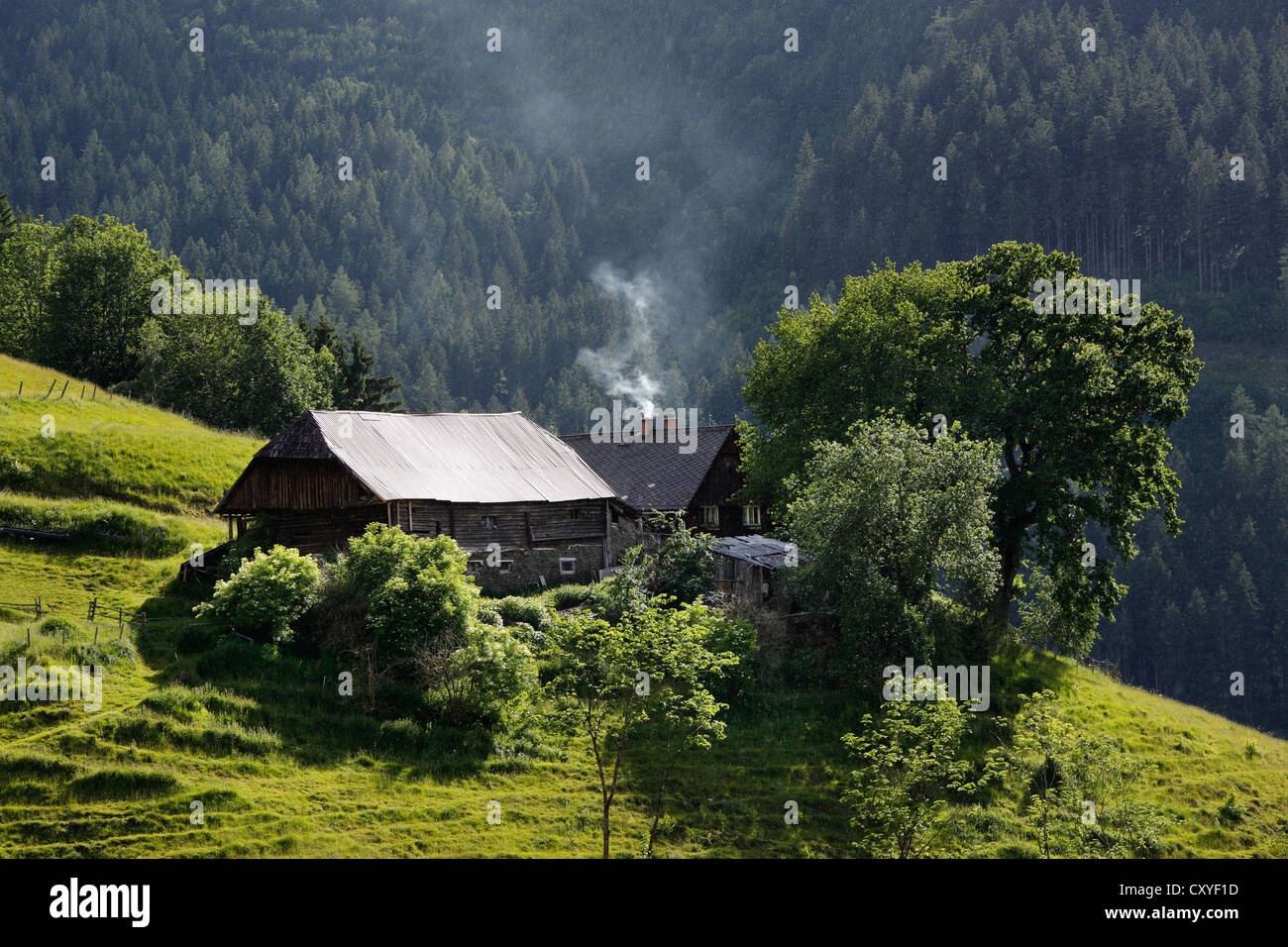 Berg-Bauernhaus in der Nähe von Trieben, Niedere Tauern oder Low Tauern Bereich, Obersteiermark, Steiermark, Austria, Europe Stockfoto