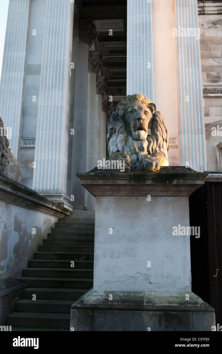 Stein-Löwen am Eingang zu dem Fitzwilliam Museum in Cambridge Stockfoto