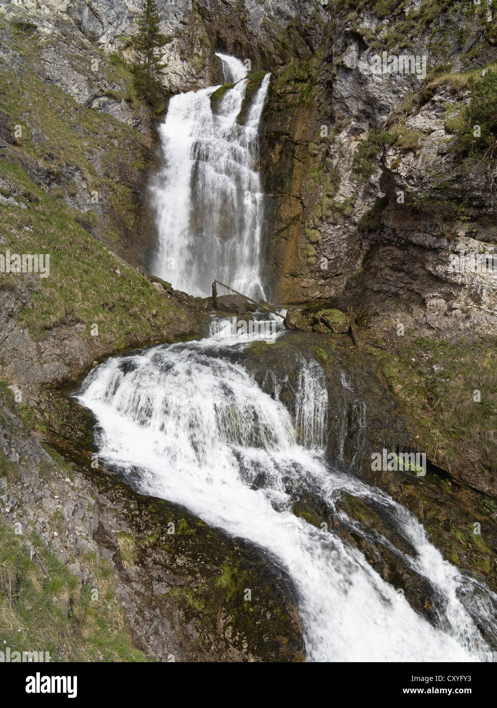 Wasserlochklamm Schlucht in der Nähe von Palfau, Obersteiermark, Steiermark, Austria, Europe Stockfoto