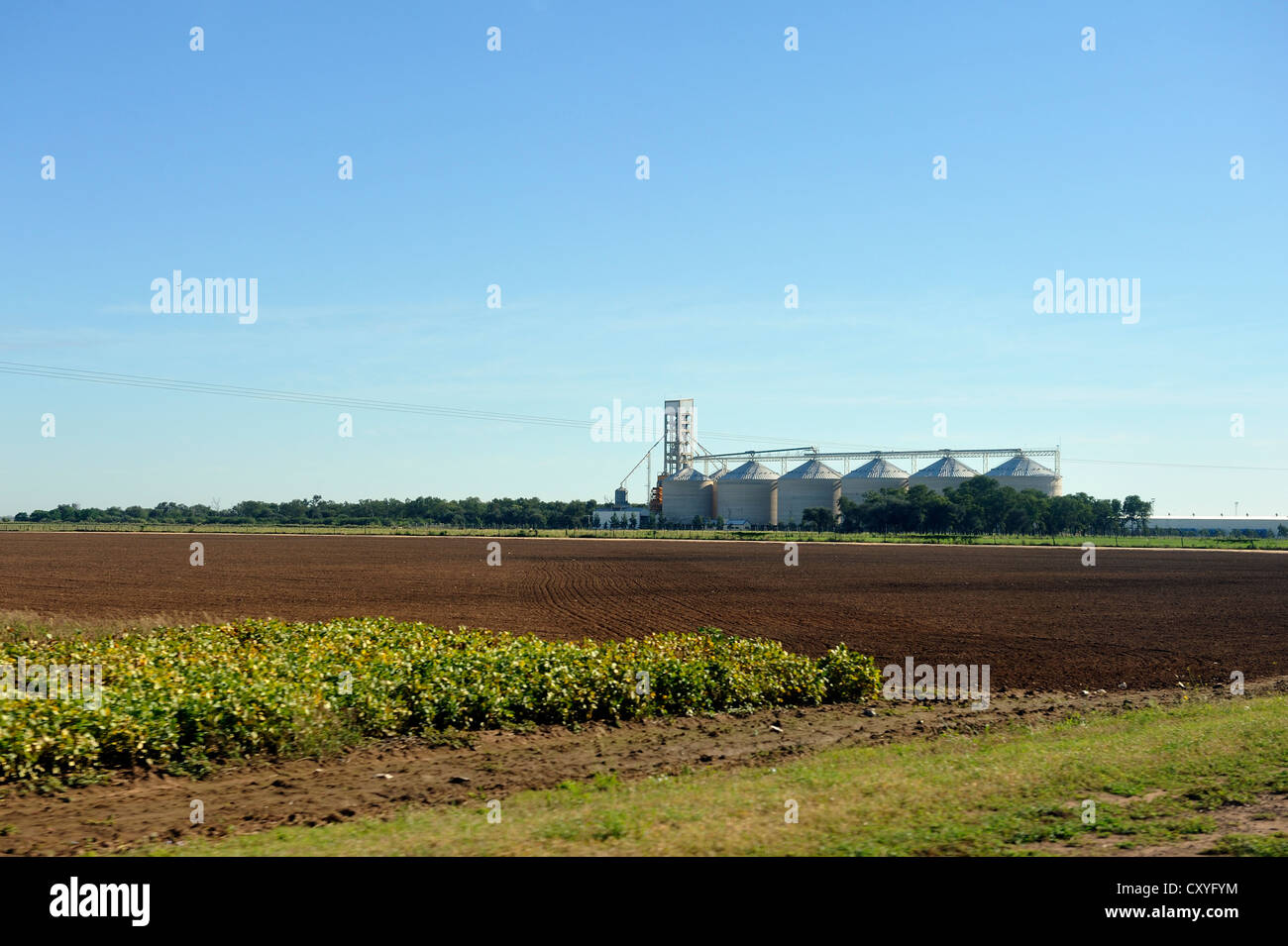Felder, Plantagen, Sojabohnen-Monokultur, Getreidesilos für Sojabohnen Lagerung benutzt, Provinz Formosa, Argentinien, Südamerika Stockfoto
