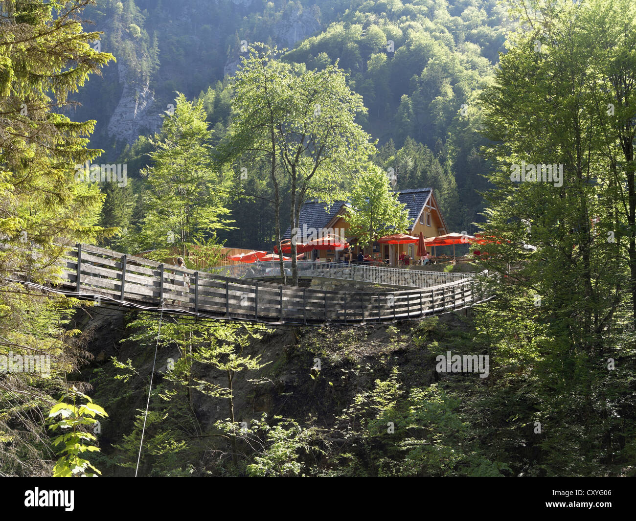 Hängebrücke über den Fluss Salza in der Nähe der Wasserlochklamm Schlucht, Palfau, Obersteiermark, Steiermark, Österreich, Europa Stockfoto