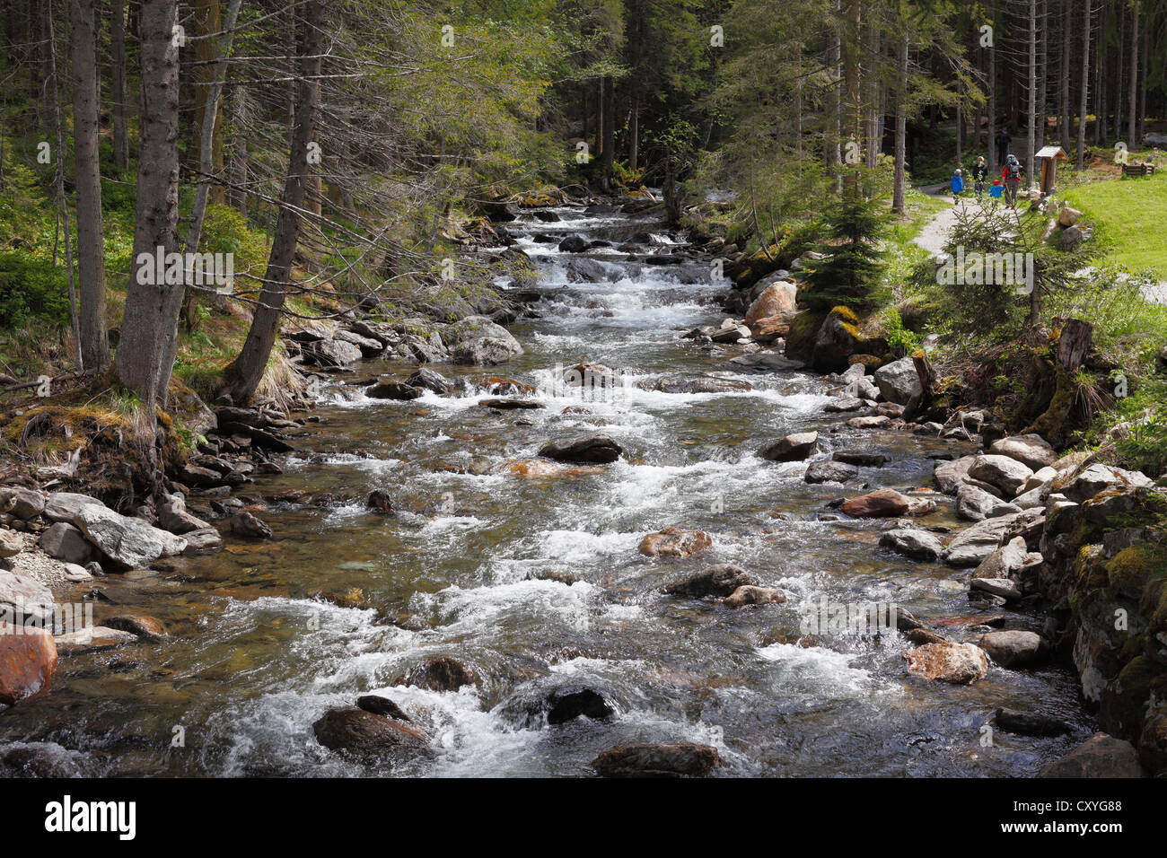 Riesachbach Creek, Naturpark Soelktaeler, Schladming Tauern Berge, Obersteiermark, Steiermark, Austria, Europe Stockfoto