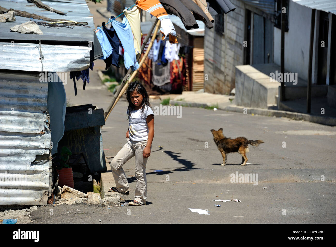 Ein Mädchen und ein Hund auf einer Straße, Lomas de Santa Faz Slum, Guatemala City, Guatemala, Mittelamerika Stockfoto